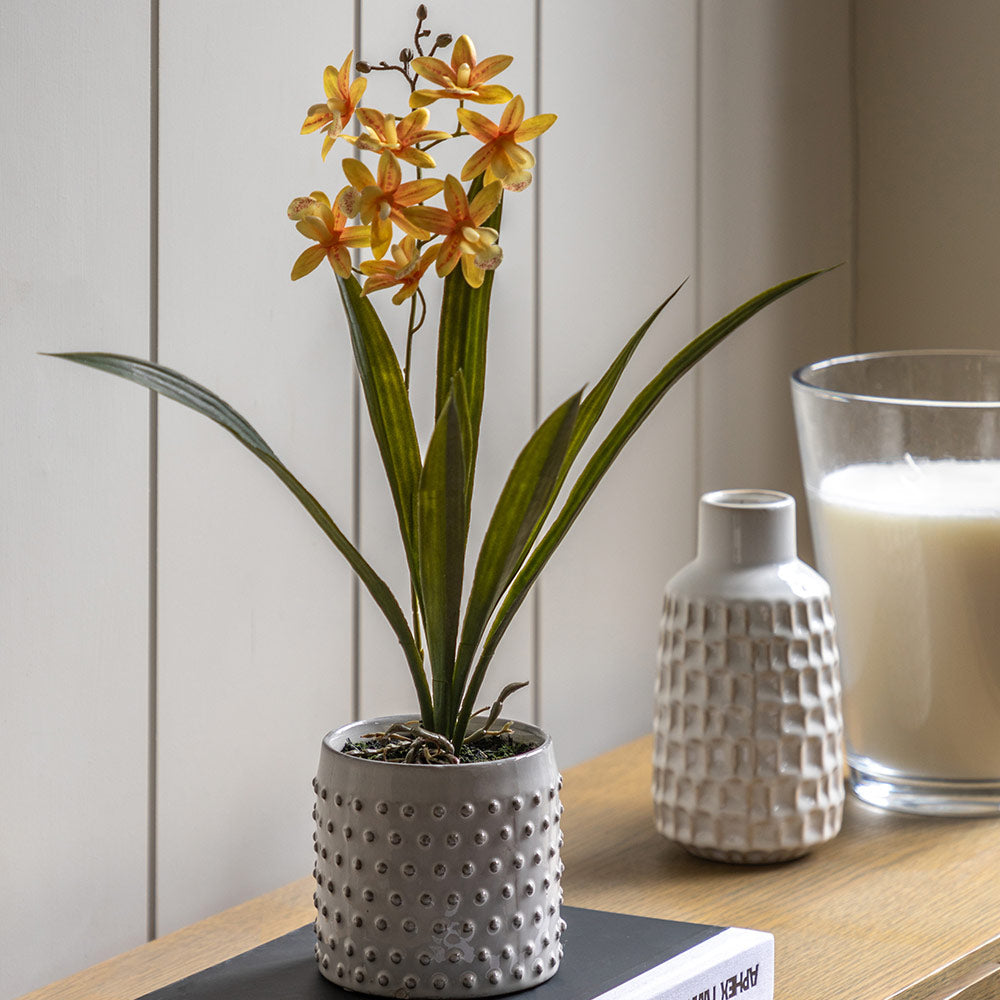Artificial Orchid in White Ceramic Dot Pot