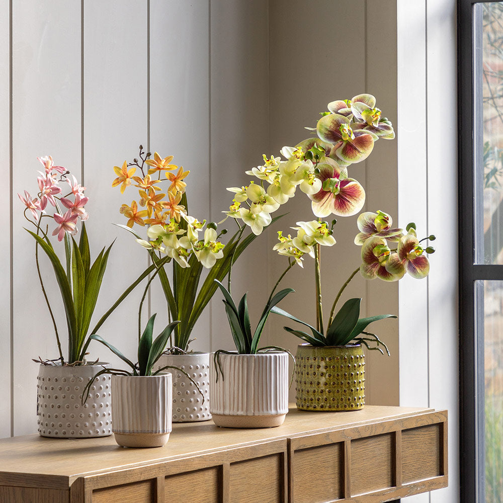 Artificial Orchid in White Ceramic Dot Pot