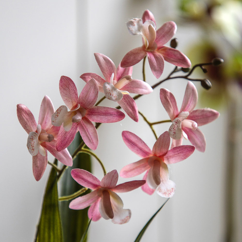 Artificial Pink Orchid in White Ceramic Dot Pot