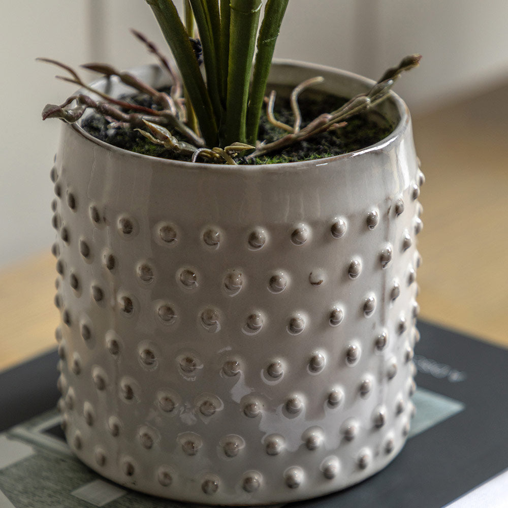 Artificial Pink Orchid in White Ceramic Dot Pot