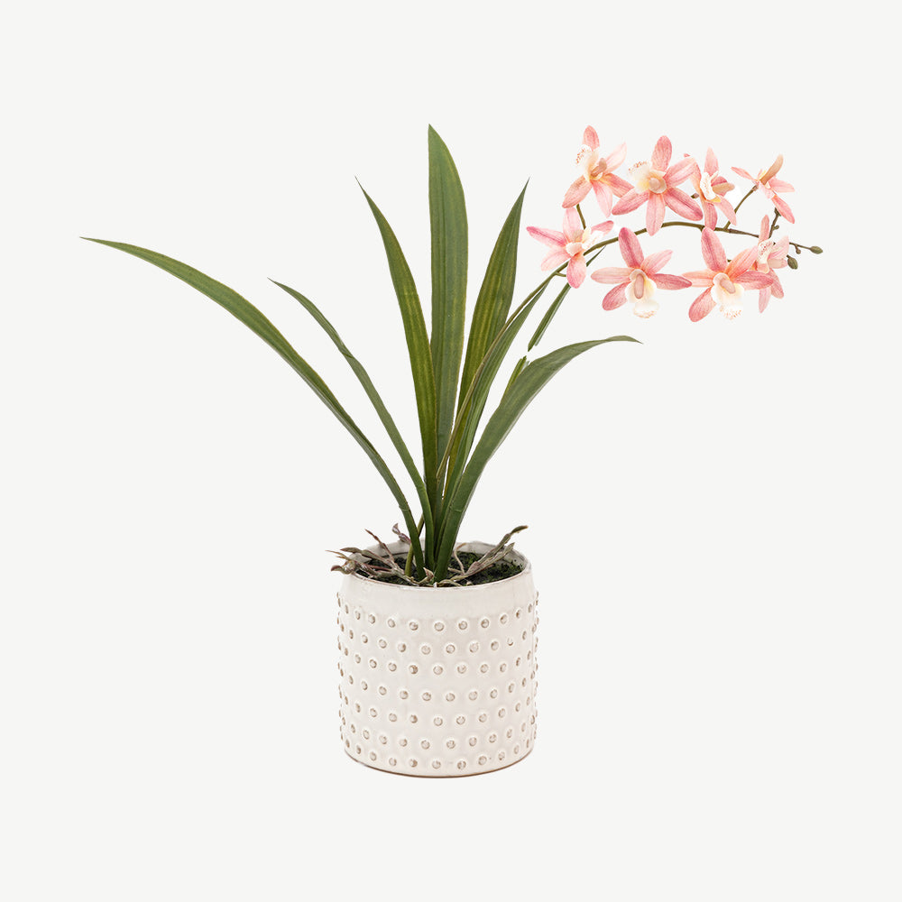 Artificial Pink Orchid in White Ceramic Dot Pot