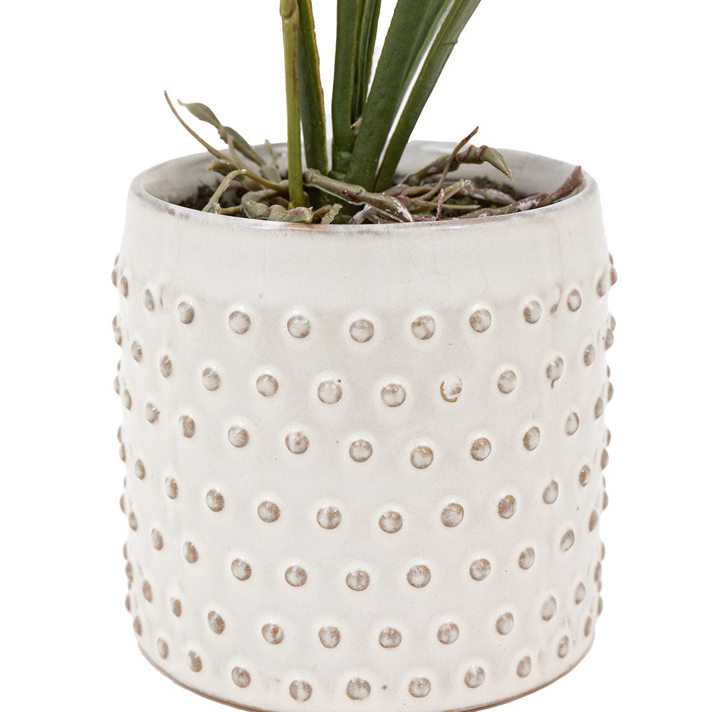 Artificial Pink Orchid in White Ceramic Dot Pot