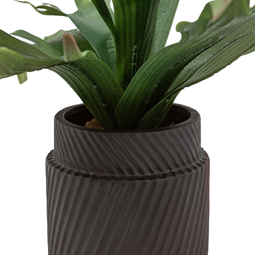 Artificial Playycerium Multi Colour in Ceramic Pot