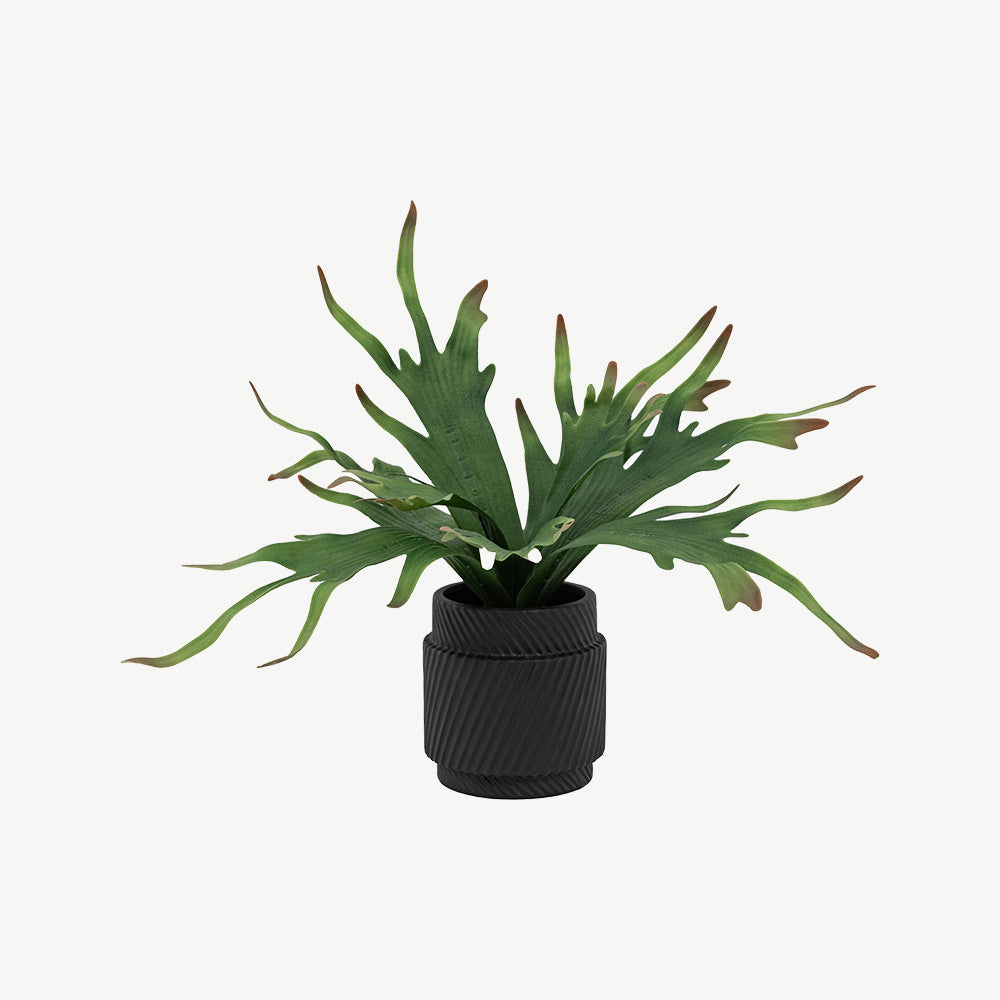Artificial Playycerium Multi Colour in Ceramic Pot