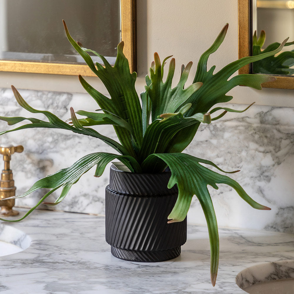 Artificial Playycerium Multi Colour in Ceramic Pot