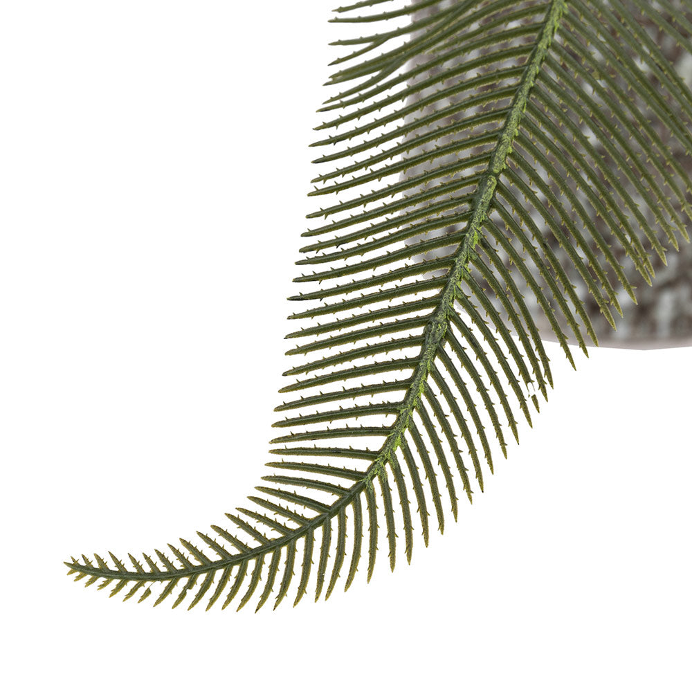Artificial Wide Fern in Concrete Pot