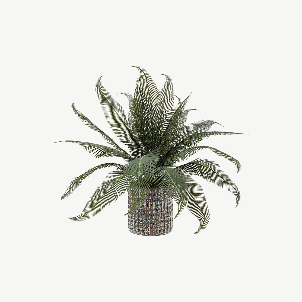 Artificial Wide Fern in Concrete Pot