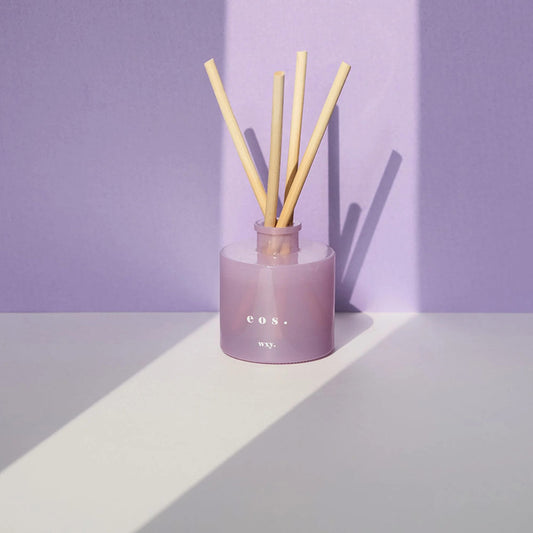 wxy. 100ml Orris Root & Amber Diffuser