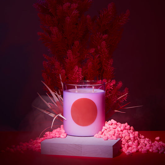 wxy. Orris Root & Amber Candle