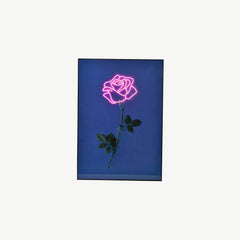 Neon Effect Rose Stem Glass Wall Art