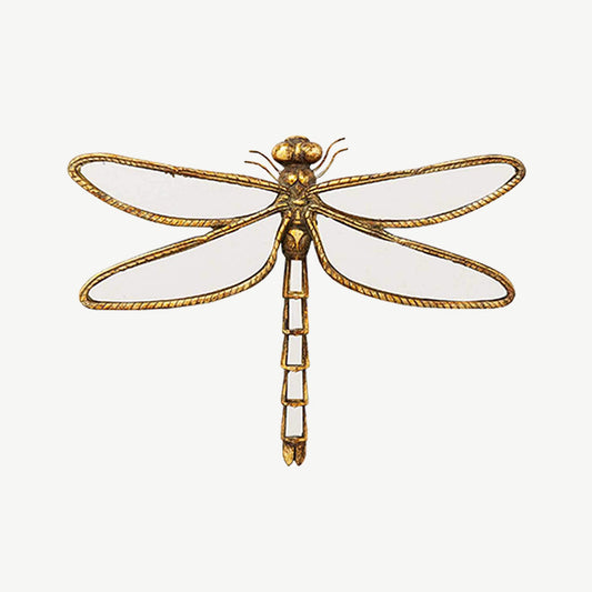 Dragonfly Mirror