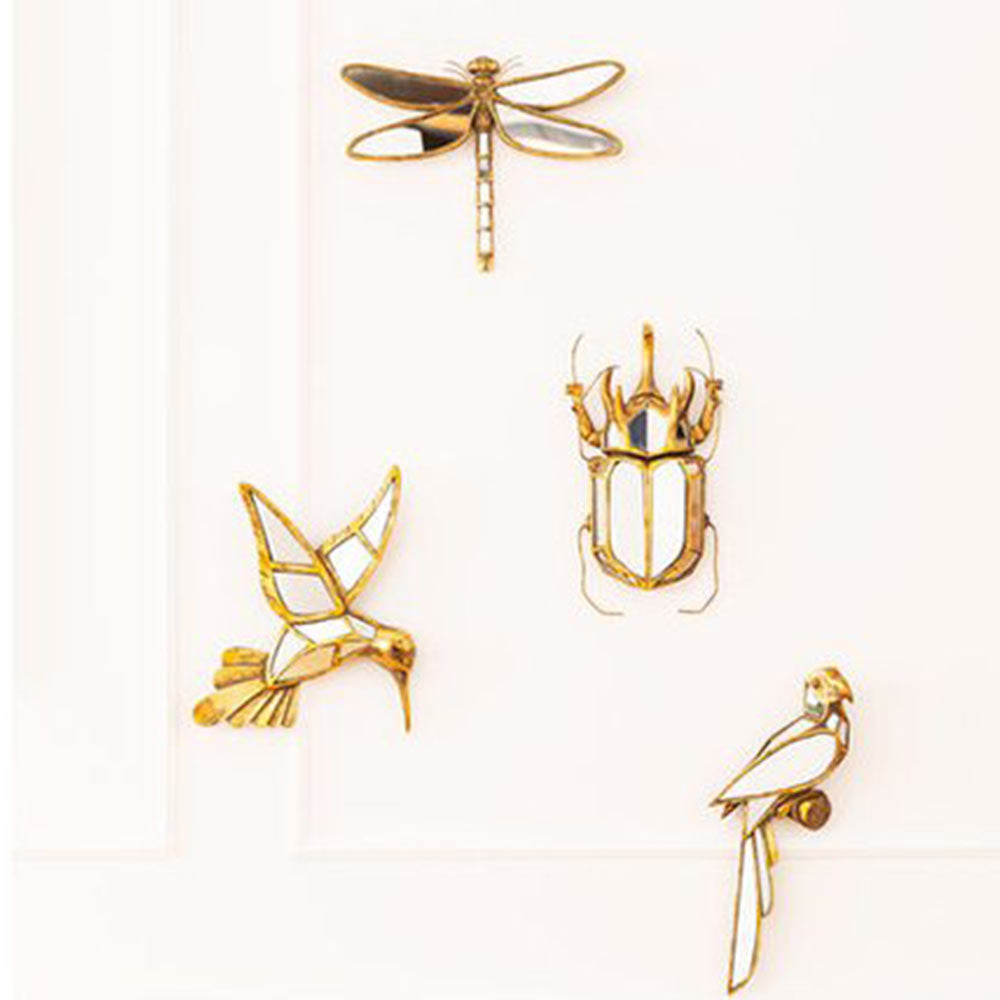 Dragonfly Mirror