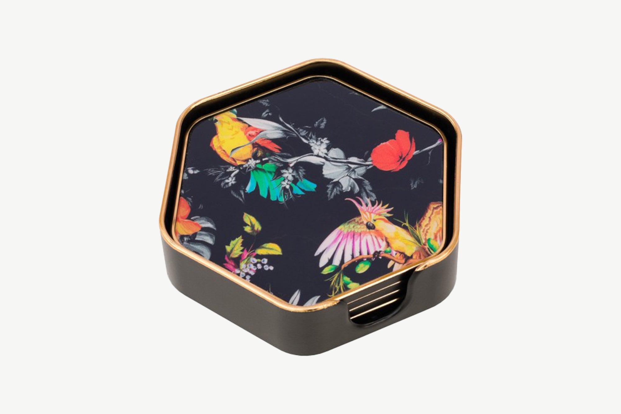 Set of 4 Parrot Coasters